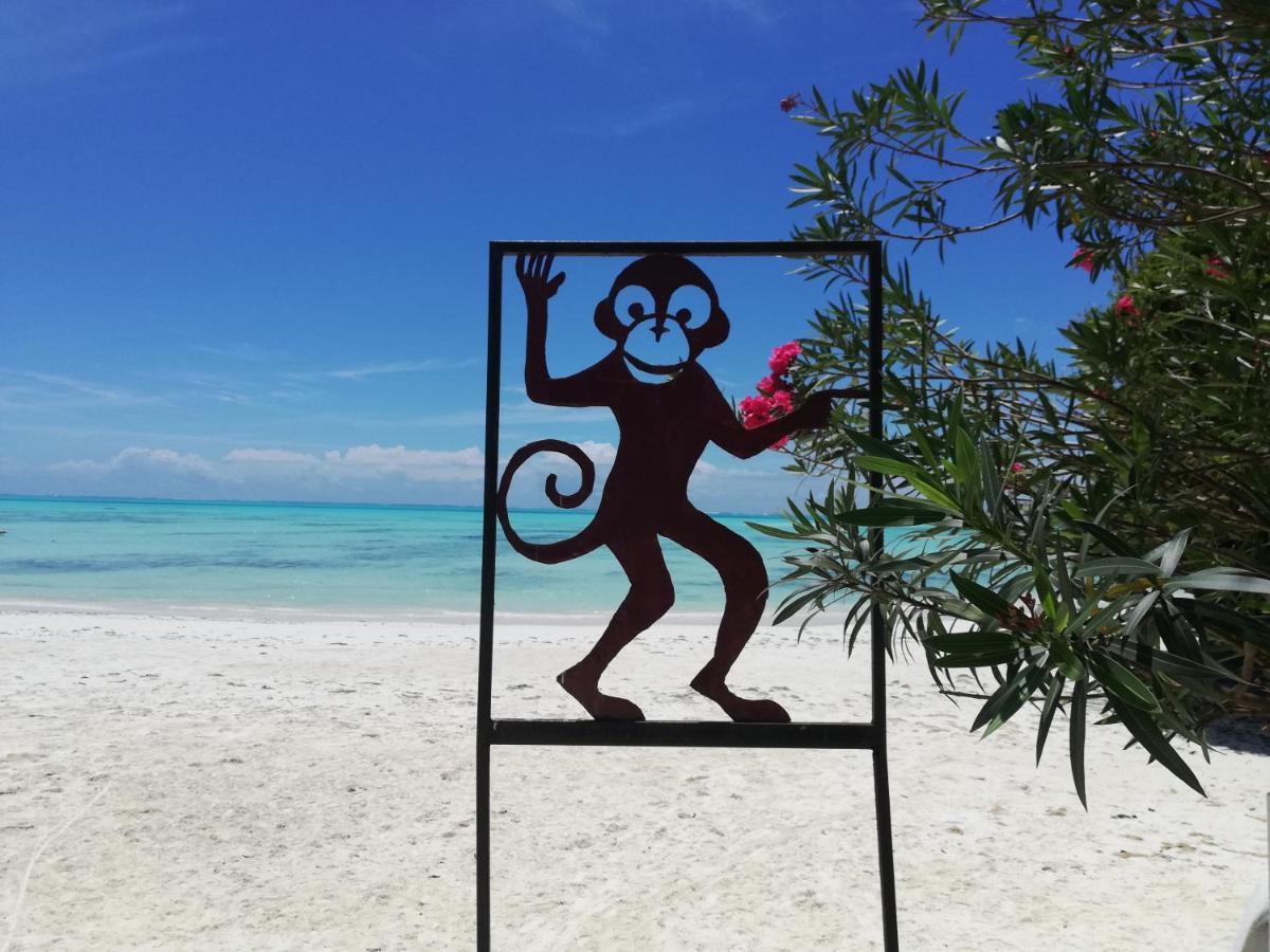 Red Monkey Beach Lodge Jambiani  Exterior photo