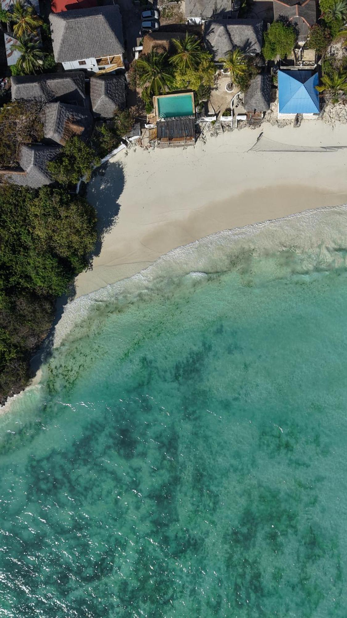 Red Monkey Beach Lodge Jambiani  Exterior photo
